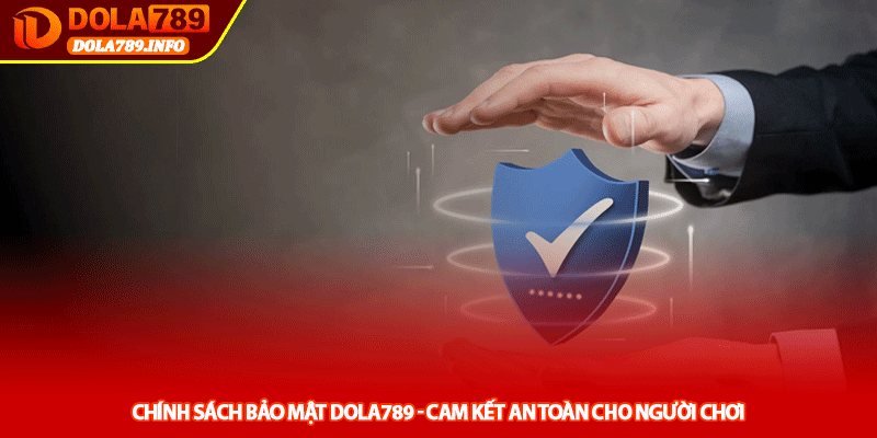 Chính sách bảo mật Dola789 - Cam kết an toàn cho người chơi