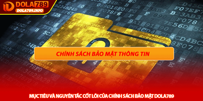 Mục tiêu và nguyên tắc cốt lõi của Chính sách bảo mật Dola789